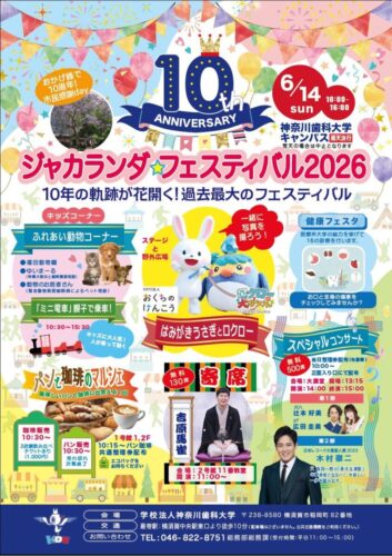 2026年ジャカランダフェスティバル